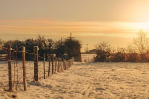 Winter Snow In Farmers Field