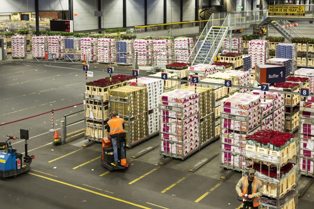 How To Improve Your Material Handling Warehouses Productivity and Safety